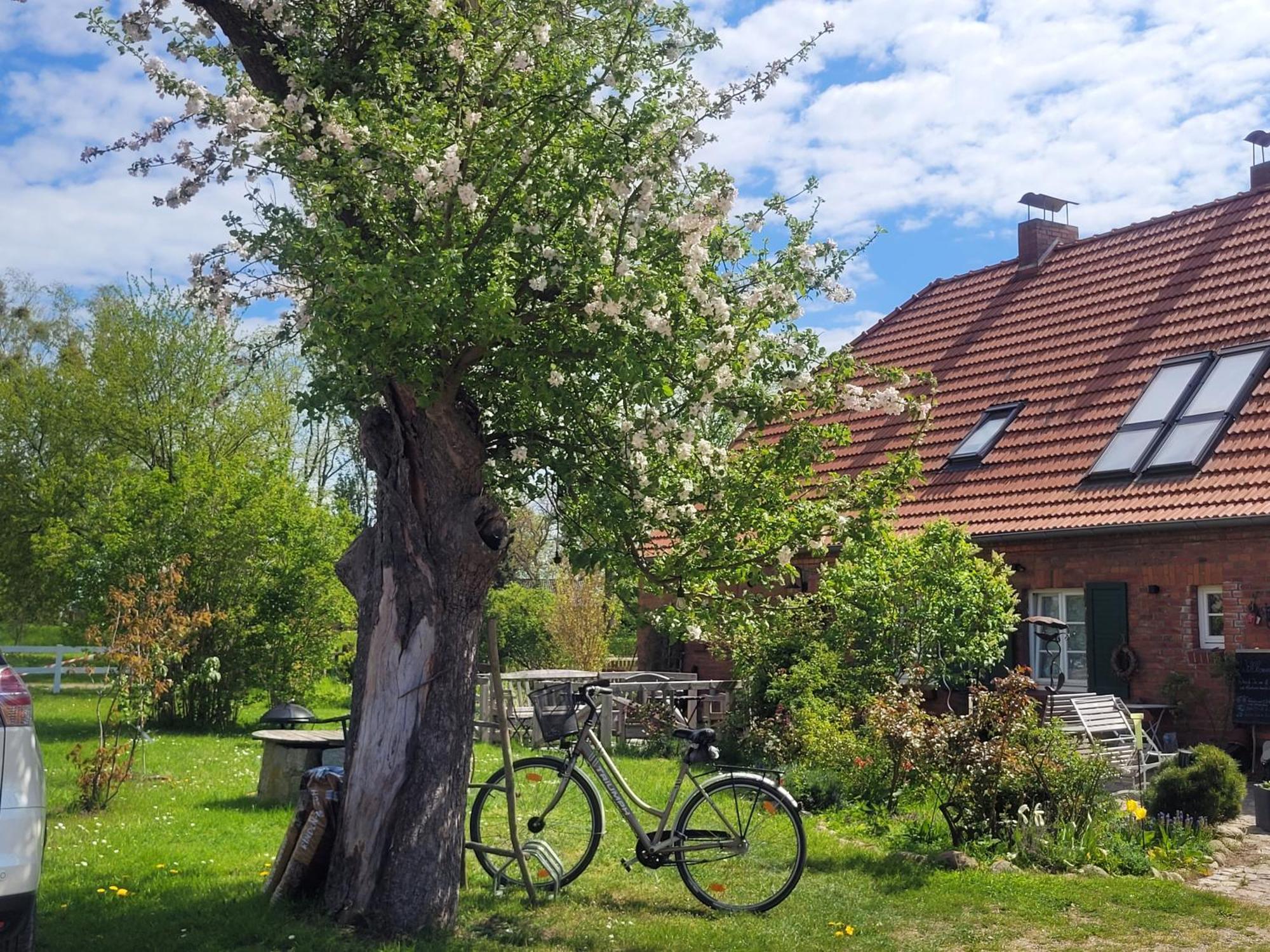 Seminar Und Landhaus Schoenbeck Schonbeck  エクステリア 写真